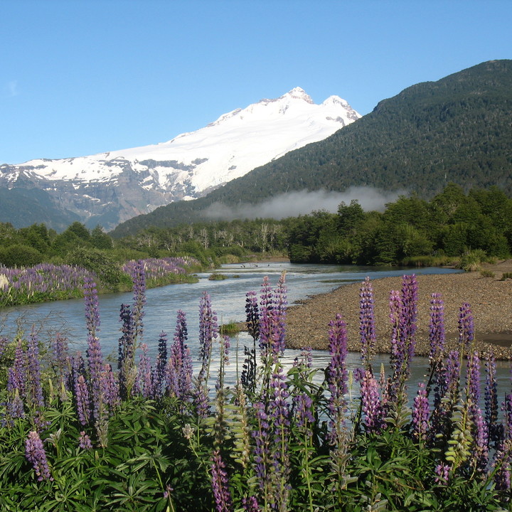 sq_camino_a_pampa_linda_en_diciembre