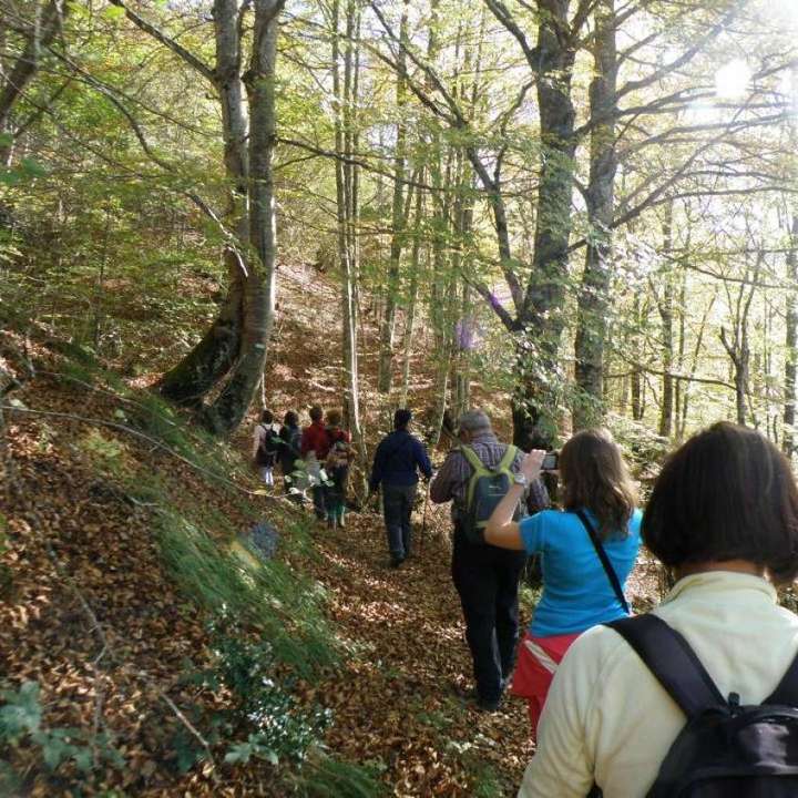 sq_caminata_bosque_2