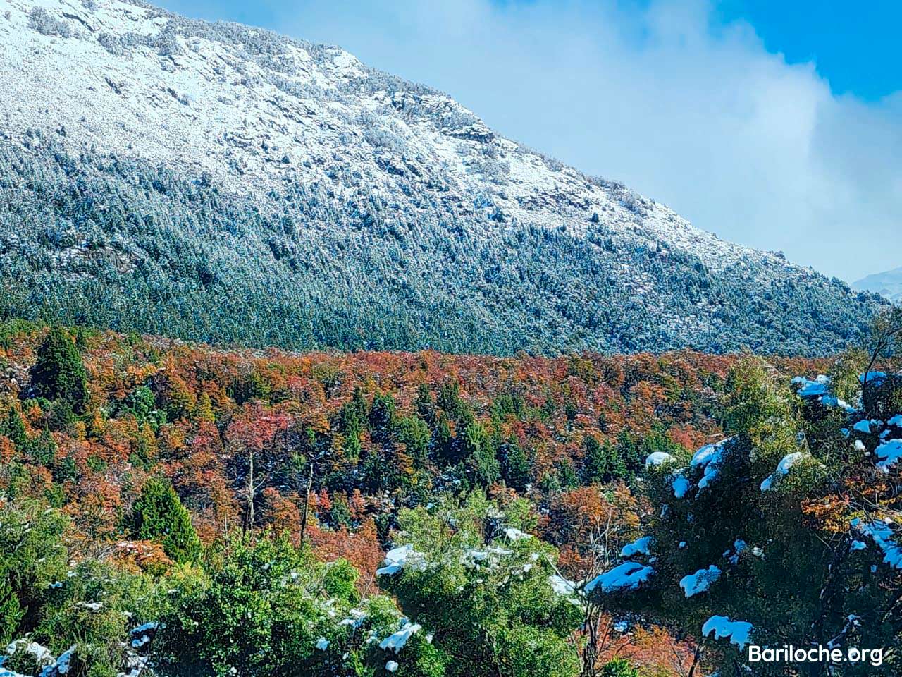 Photo of the Week - Bariloche.Org