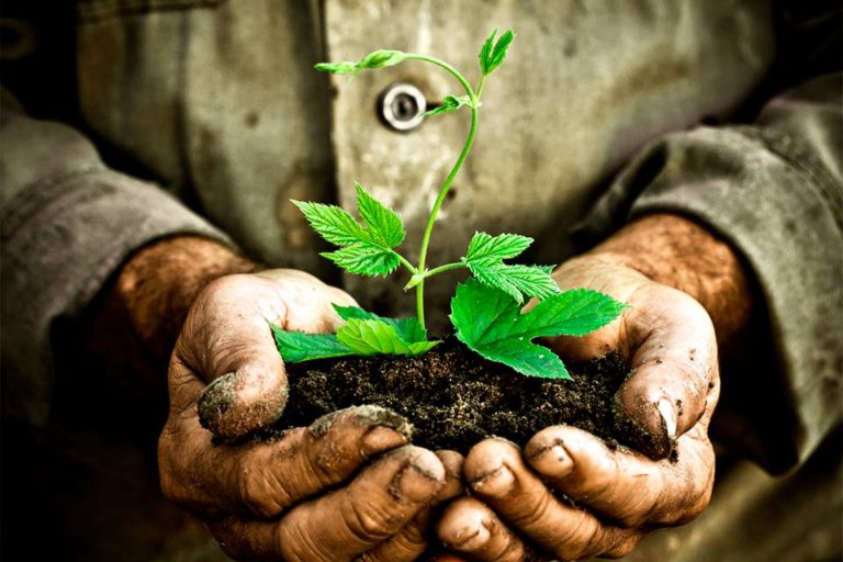 Cuidar nuestra Tierra