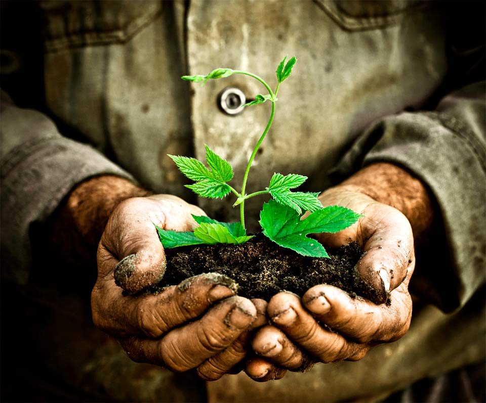 Día Mundial del Medio Ambiente Cuidar nuestra Tierra