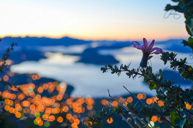 Pack Excursiones Bariloche