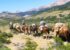 Horse Riding Patagonia