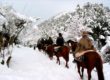 Cabalgata en la Nieve
