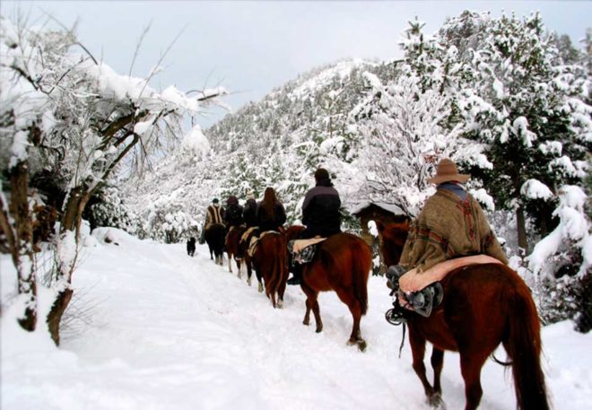 Cabalgata en la Nieve