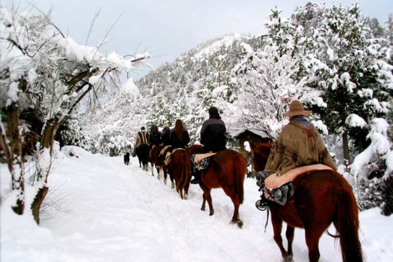 Cabalgata en la Nieve