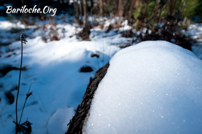 Todo cubierto de Nieve!