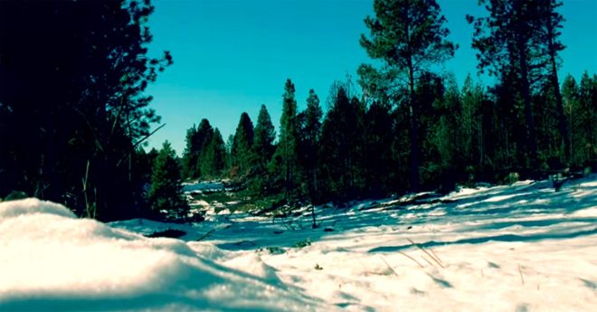 Bosque Nevado, Bariloche