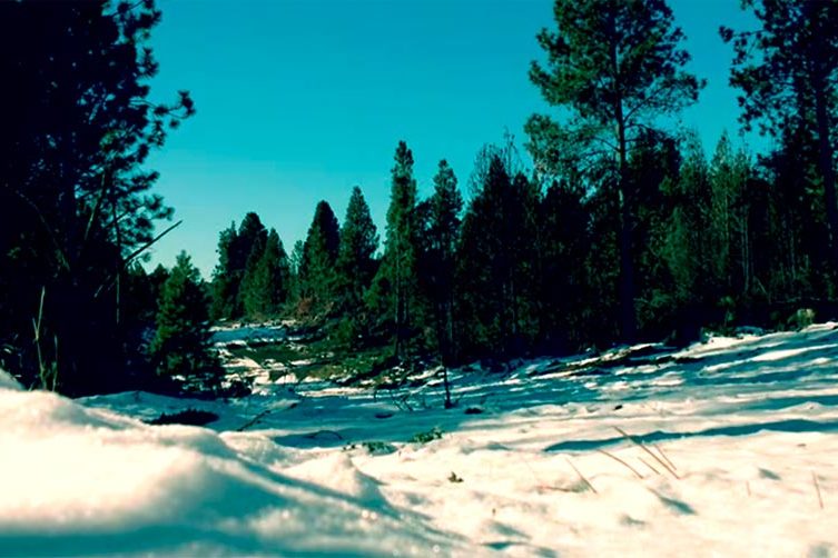 Bosque Nevado, Bariloche