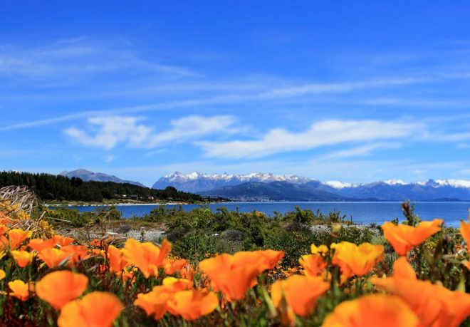 Primavera Patagonia