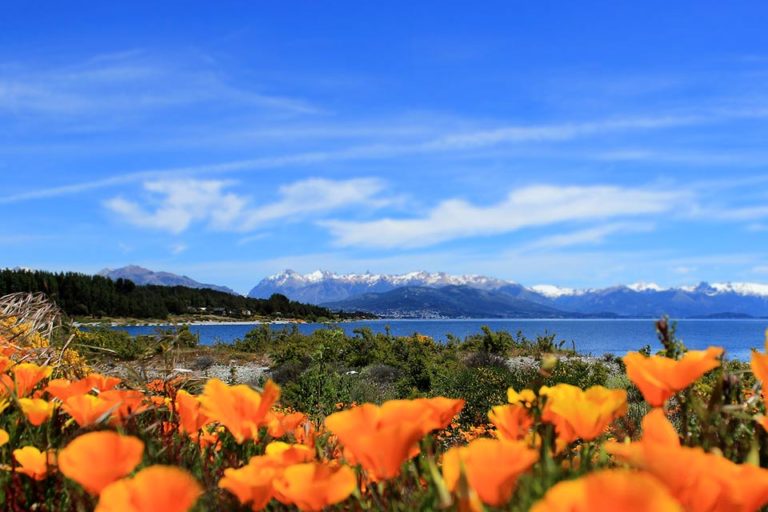 Primavera Patagonia