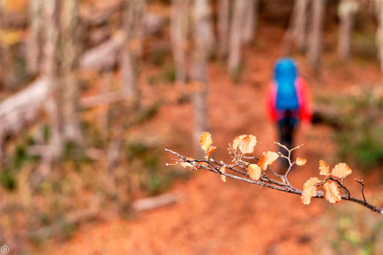 Salud en la Montaña