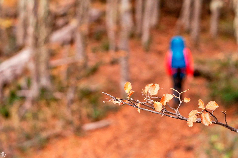 Salud en la Montaña