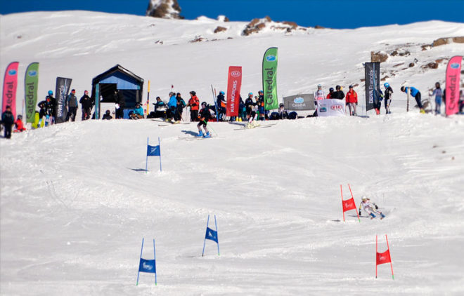 Carrera de Ski