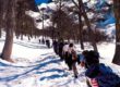Trekking Bariloche