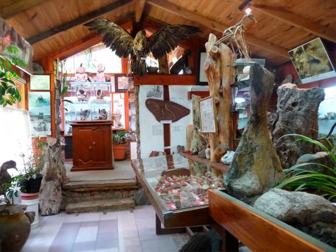 Museo Lago Gutierrez
