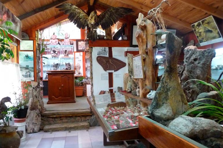 Museo Lago Gutierrez