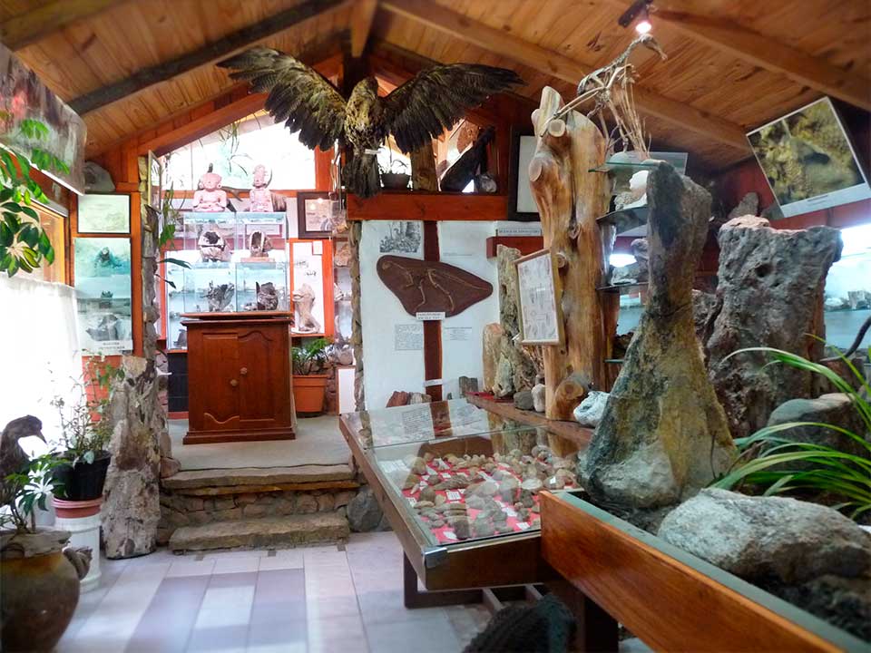 Museo Lago Gutierrez