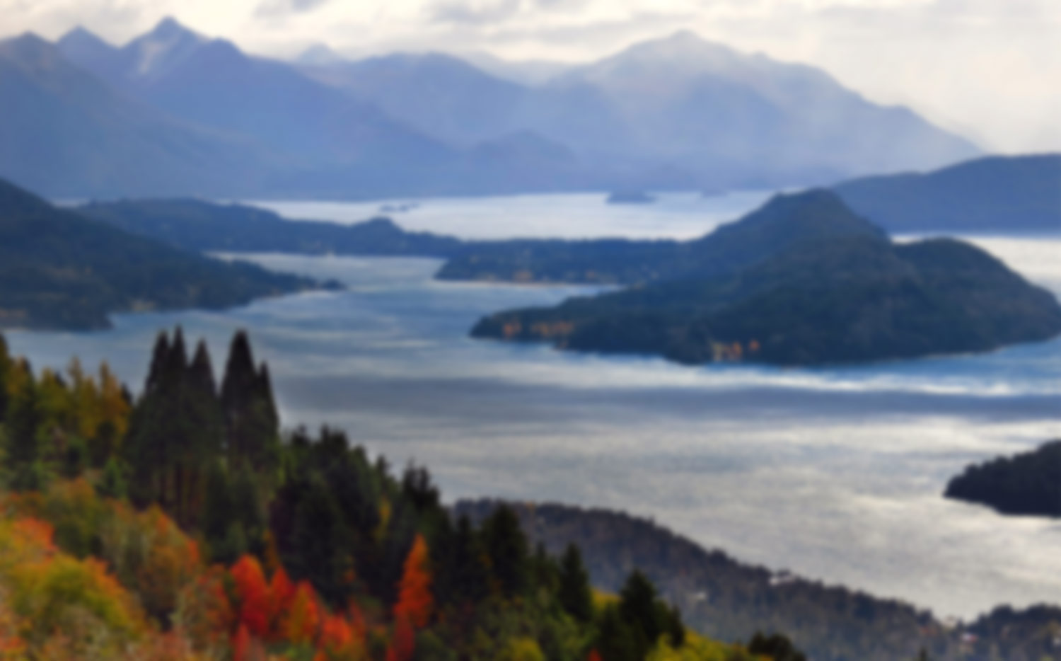Fondo Otoño