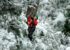 Canopy Invierno Bariloche