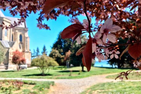 Primavera 2020 Bariloche