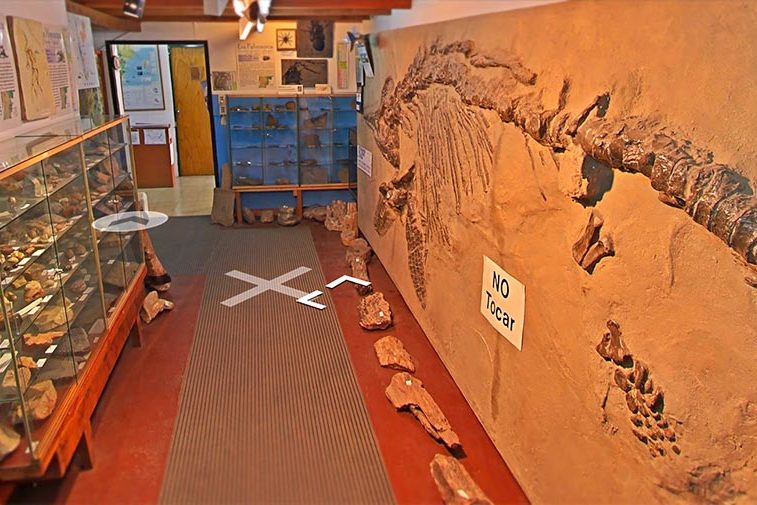 Museo Paleontologico Bariloche