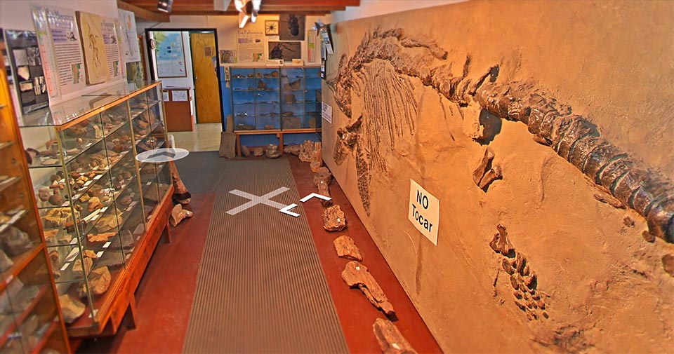 Museo Paleontologico Bariloche