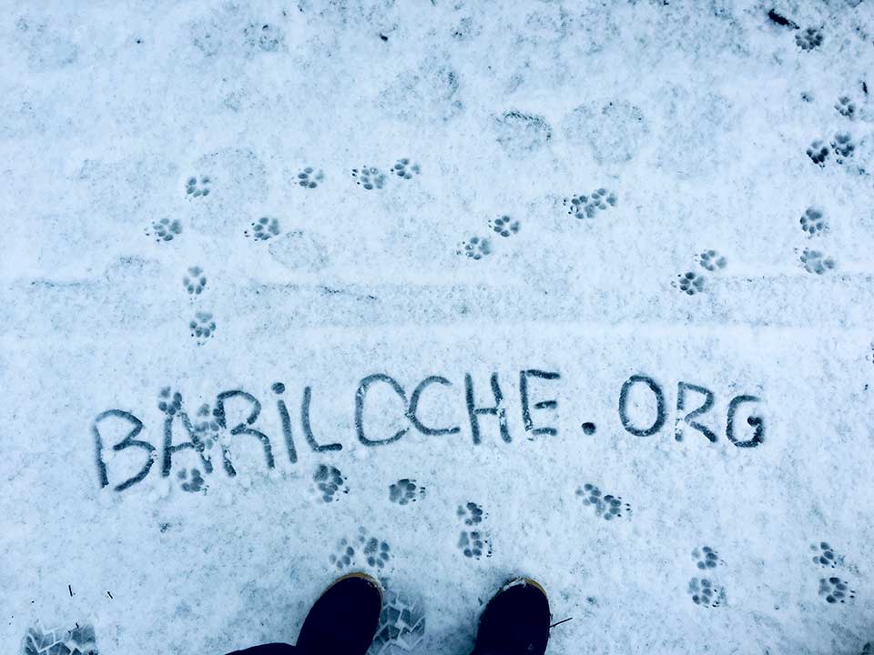 Bariloche.Org
