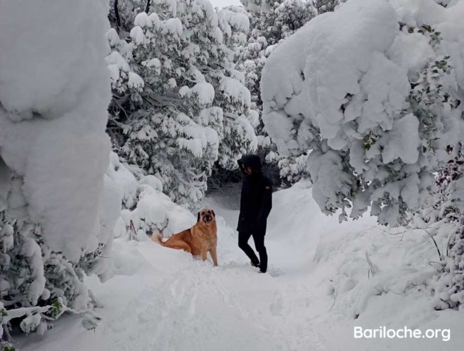primavera-en-bariloche-barilocheorg-nievenprimavera