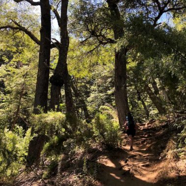 Comienza la aventura