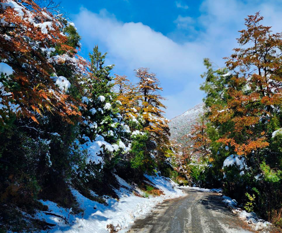 Camino cerro Tronador