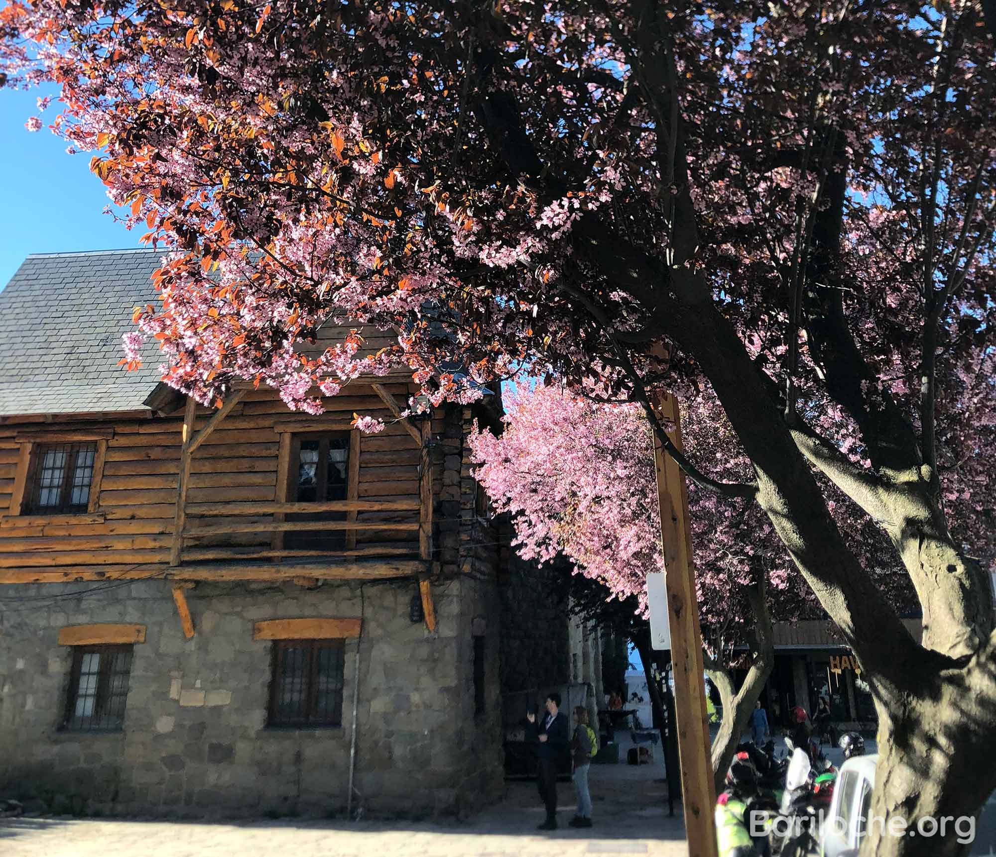 Primavera en Bariloche