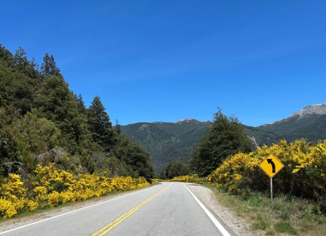 Ruta al Bolson Primavera 2025