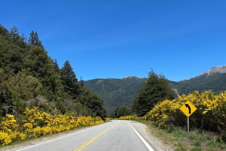 Ruta al Bolson Primavera 2025